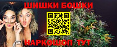 индика Дубна