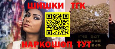 индика Дубна