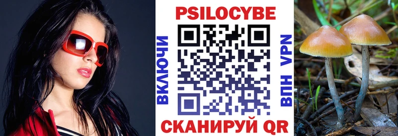 Галлюциногенные грибы MAGIC MUSHROOMS Новоалександровск