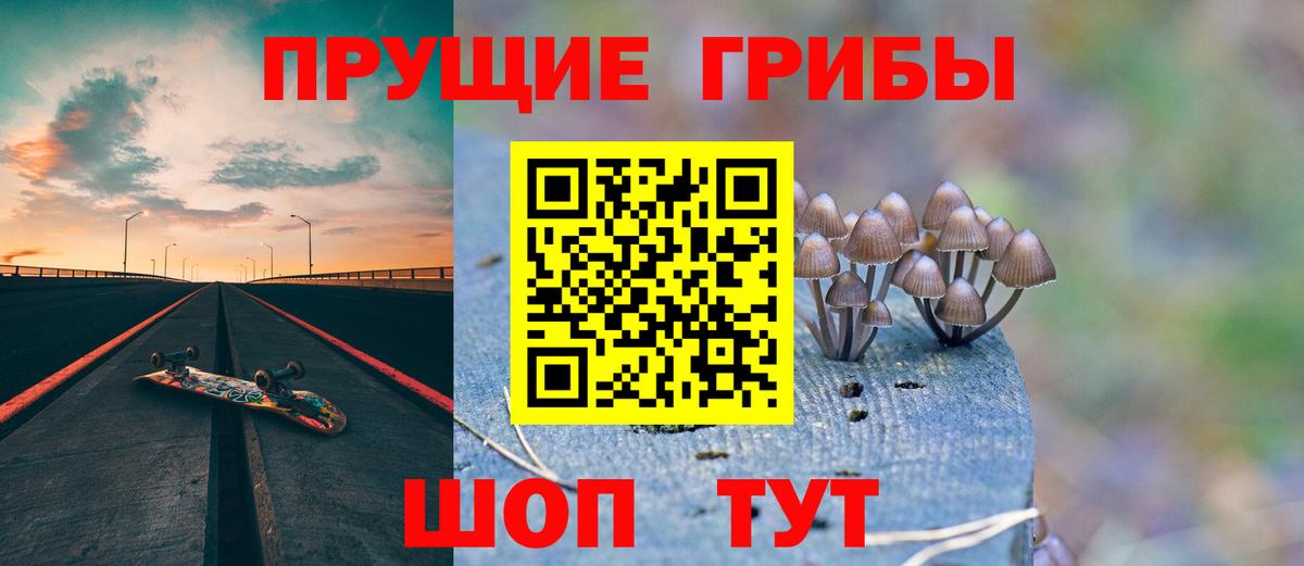 Галлюциногенные грибы ЛСД Новоалександровск