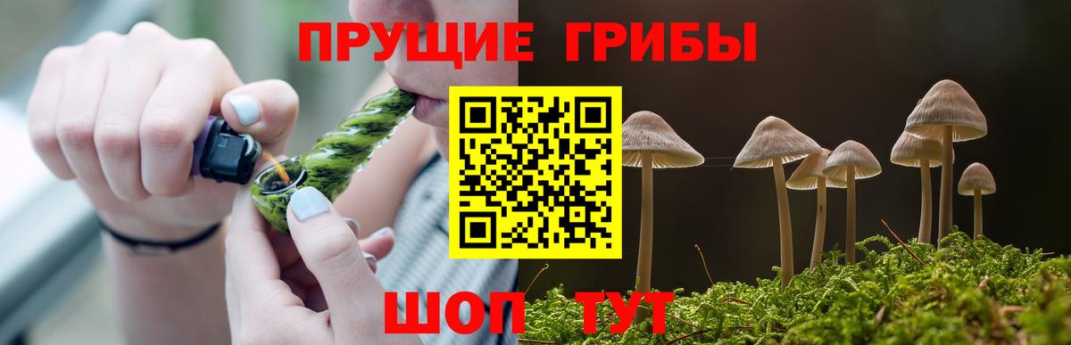 Галлюциногенные грибы прущие грибы  Вход с VPN  Новоалександровск 