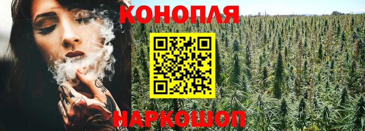 Марихуана индика  Бошки Шишки марихуана  Вход с VPN  Бошки Шишки White Widow  Новоалександровск 