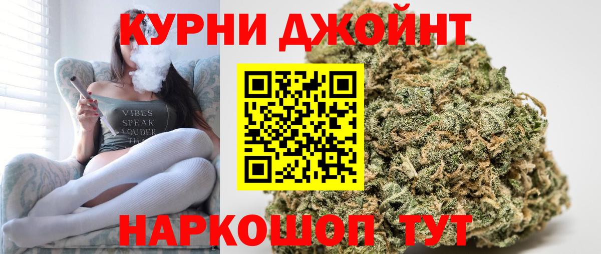 Шишки марихуана планчик Новоалександровск